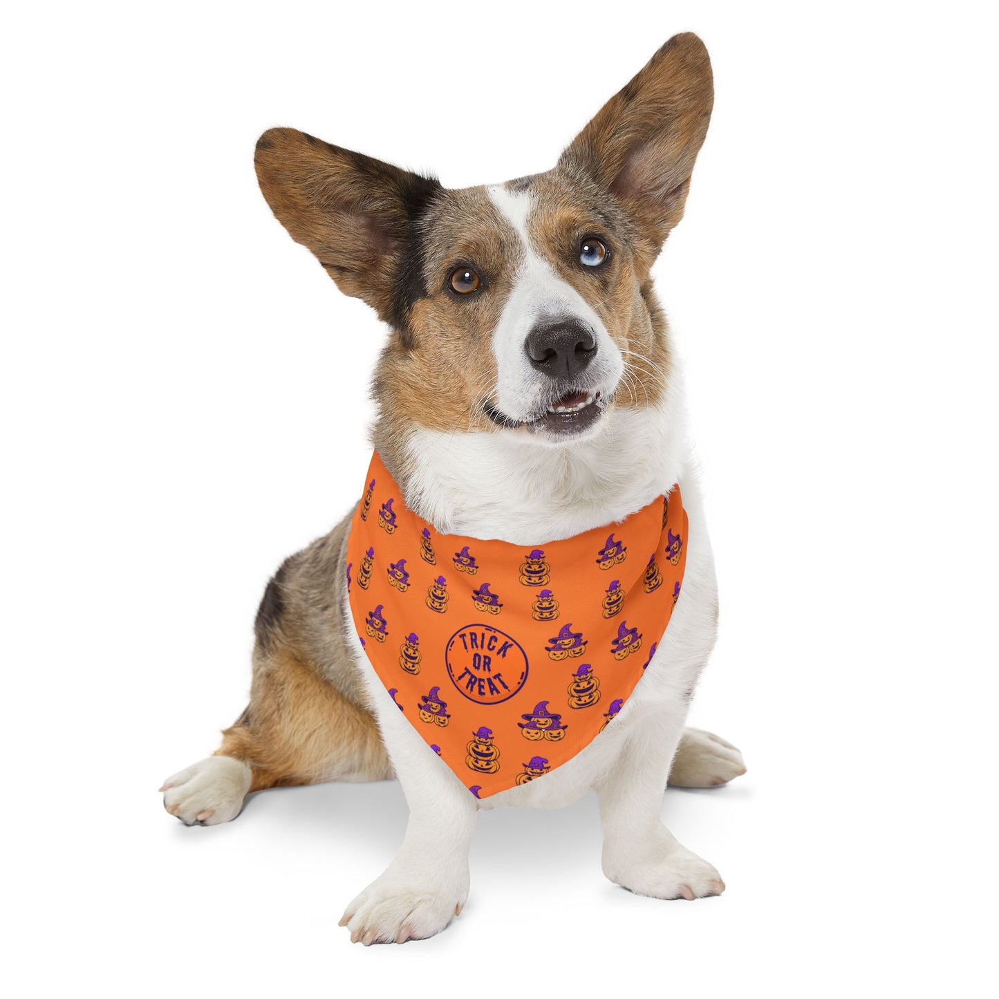 Halloween Pet Bandana, Trick or Treat Dog Collar, Festive Pet Costume, Cute Pet Accessory, Dog Apparel for Fall