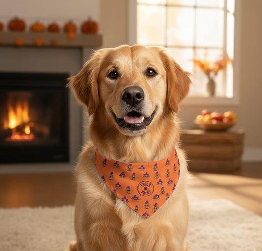 Halloween Pet Bandana, Trick or Treat Dog Collar, Festive Pet Costume, Cute Pet Accessory, Dog Apparel for Fall